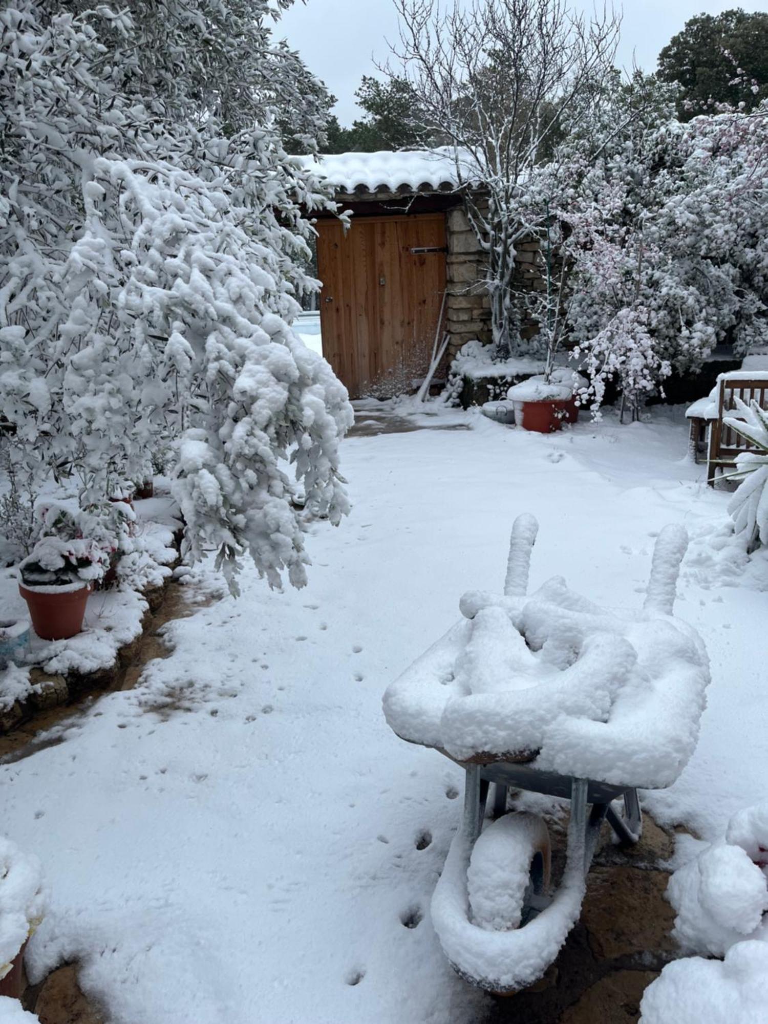 Masiadenjust Rojals Exteriér fotografie